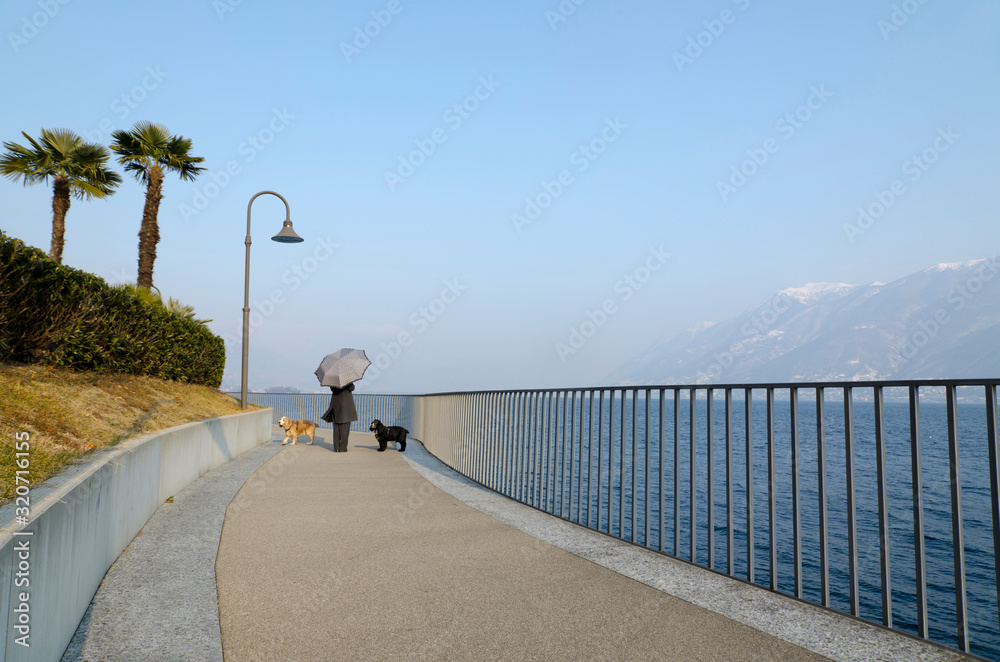 Woman Walking Her Dogs on Walkway on the Waterfront with an Umbrella in Switzerland.