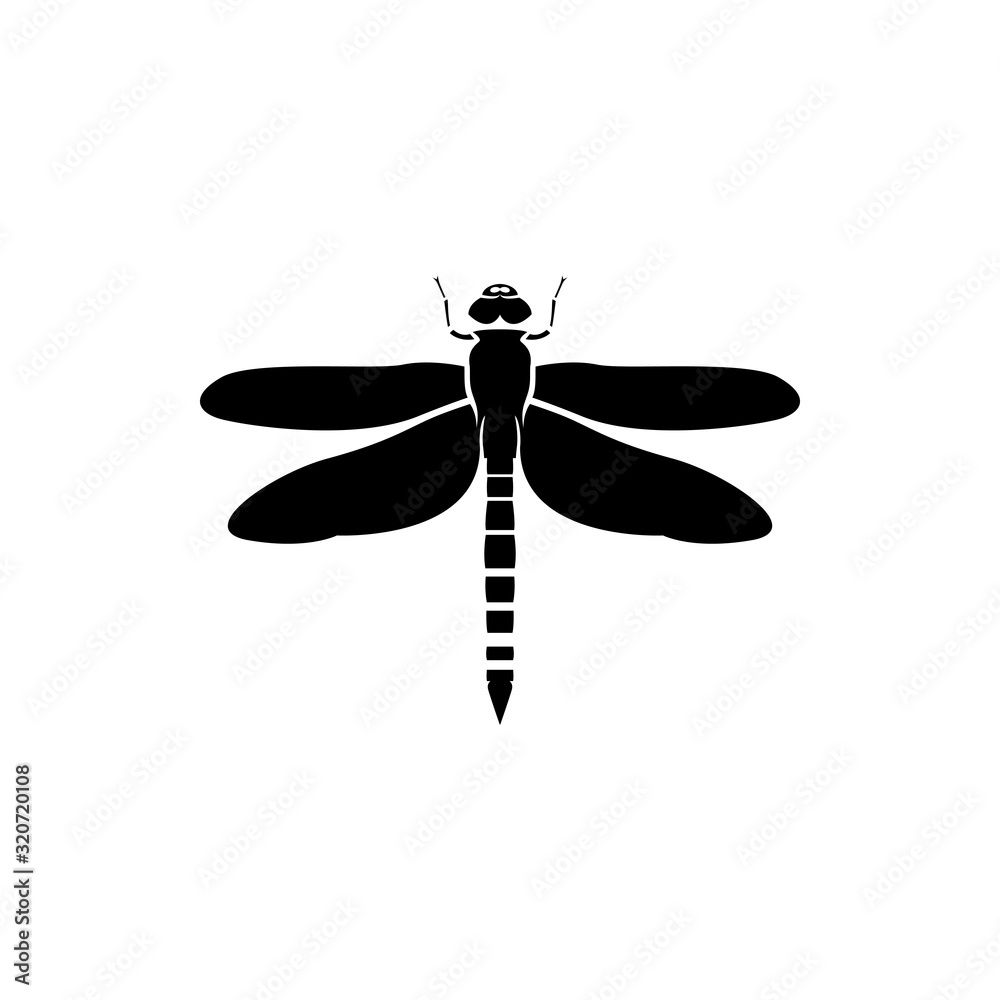 dragonfly