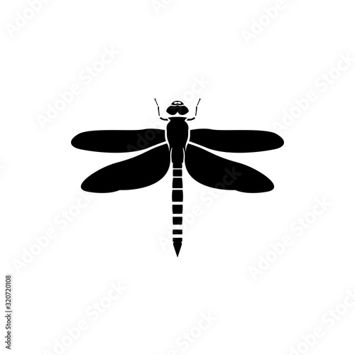 dragonfly