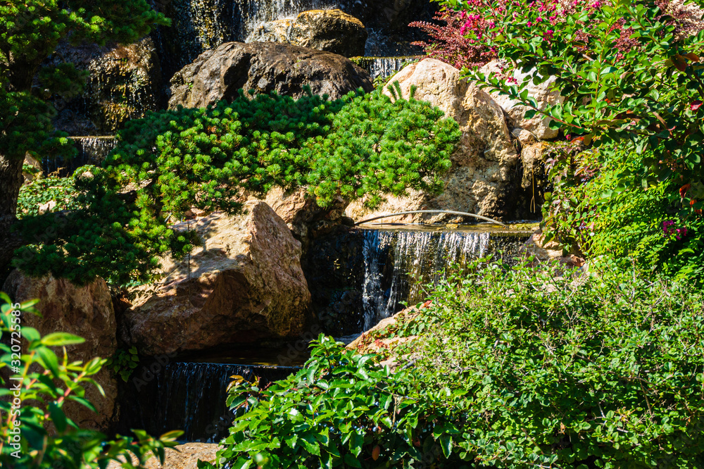 Beautiful landscape with waterfall falling from stone wall in Paradise landscape park. Selective focus. In foreground are pine bonsai and many evergreens. Sanatorium Aivazovsky, Partenit. Crimea.