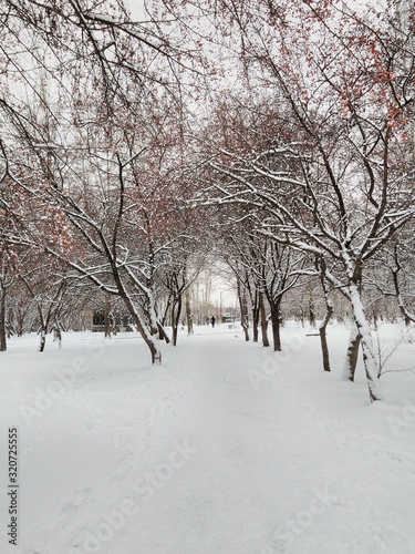 winter in the park © Rita