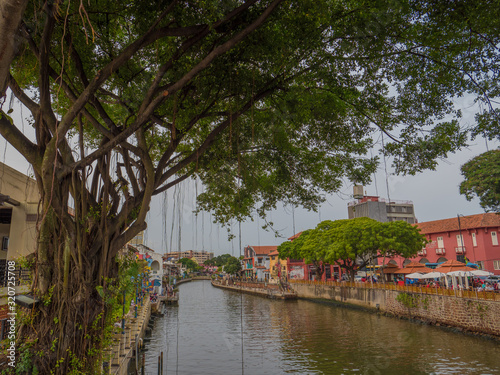                                                                                   Malacca  Melaka  river with banyan big tree view