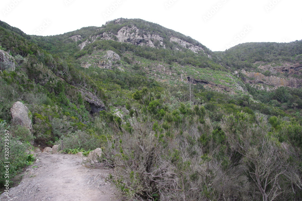 Mountains near the village of Chamorga in the north of Tenerife Mountains near the village of Chamorga in the north of Tenerife