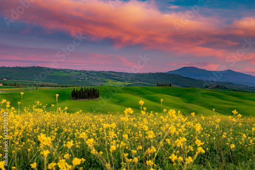 Impressive spring landscape view with cypresses and vineyards  Tuscany Italy