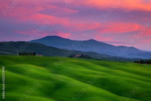 Impressive spring landscape,view with cypresses and vineyards ,Tuscany,Italy © PawelUchorczak