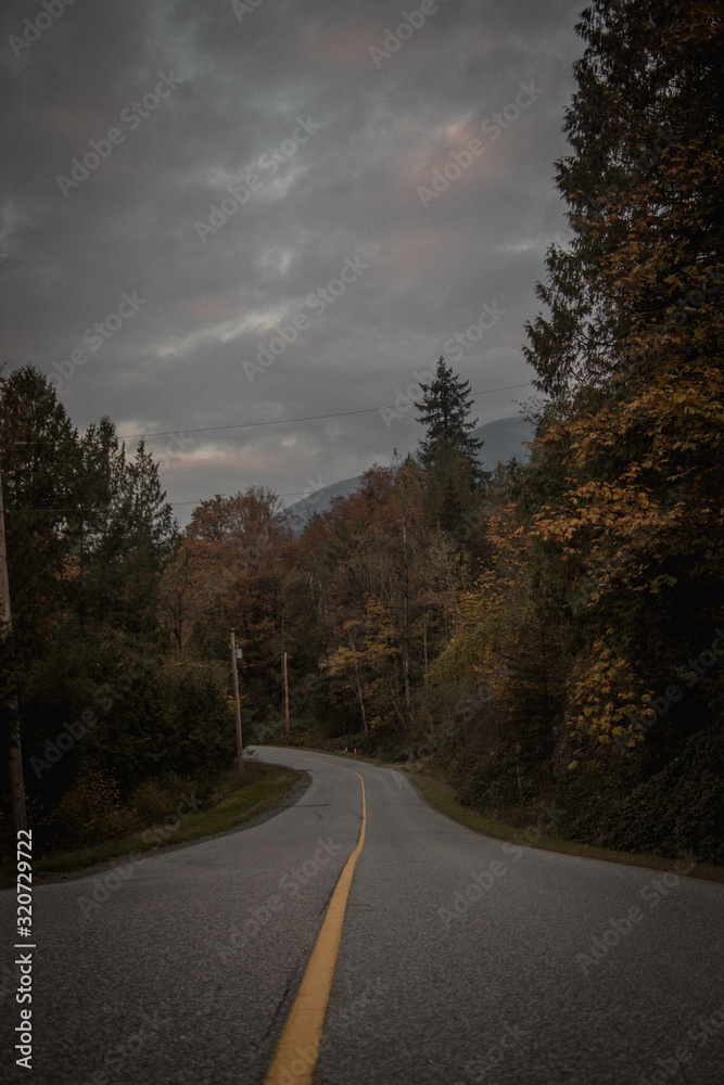 Fototapeta premium The Nature