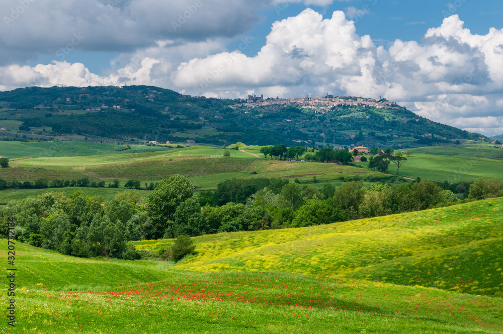 Toskanalandschaft südlich von Siena mit Blick auf Montalcino, der Stadt des Rotweins Brunello
