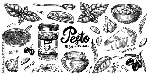 Pesto sauce set. Basil leaves, garlic, pine nuts, hard parmesan cheese, olive oil, pesto alla genovese. Spicy condiment, glass bottle, wooden spoon or dish, bunch of seeds. Engraved hand drawn sketch. photo