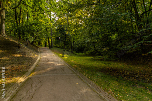 peaceful city park green foliage outdoor scenic nature environment asphalt road for walking and promenade in sun rise morning time