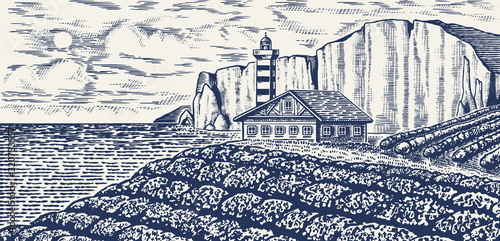 Scenic view of vineyards. Vine plantation. French or Italian engraved landscape. Rock and mountains, Rural Fields, hills of Tuscany. Hand drawn vintage sketch for alcohol label, poster or card print.
