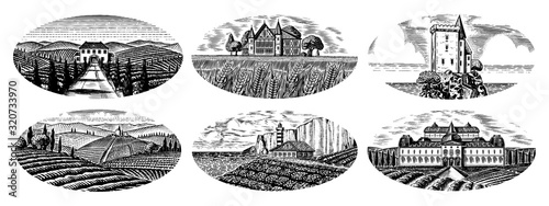 Vineyards Set. Vine plantation for bottle labels. Scenic view of French or Italian engraved landscape. Mountains Rural Fields Wheat Hills. Hand drawn vintage sketch for alcohol, whiskey beer poster.
