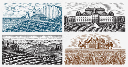 Vineyards Set. Vine plantation for bottle labels. Scenic view of French or Italian engraved landscape. Mountains Rural Fields Wheat Hills. Hand drawn vintage sketch for alcohol, whiskey beer poster.