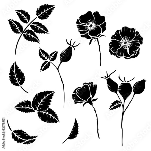 Hand drawn isolated wild rose flowers, wild rose bud, rose hip berries  and leaves.  Rose hip silhouette. Wild roses flowers line icons. Botanical illustration set.
