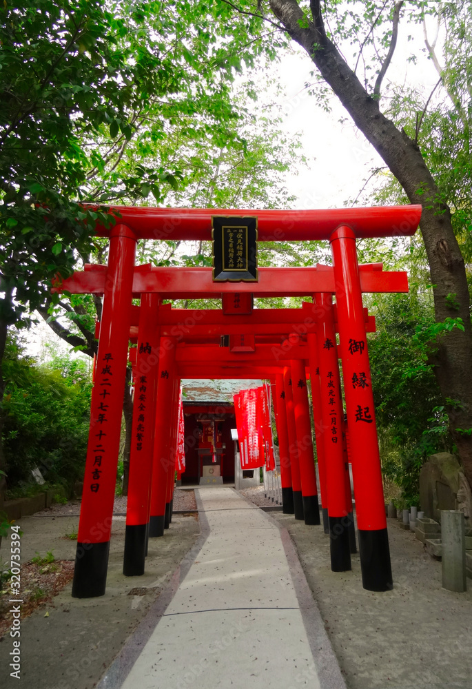 Rote Toriis hintereinander in Japan Rote Toriis hintereinander in Japan