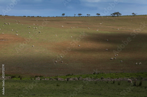 Te Paki. Meadows. Cape reinga New Zealand photo