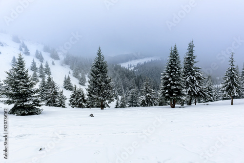 Awesome winter landscape with trees covered in snow. Frosty mountain day, exotic wintry scene. © Ivan