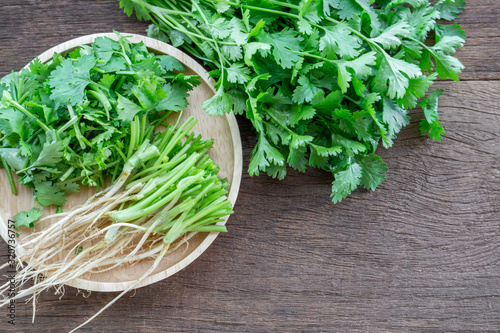 fresh green parsley leaves, root ,slice on wooden table