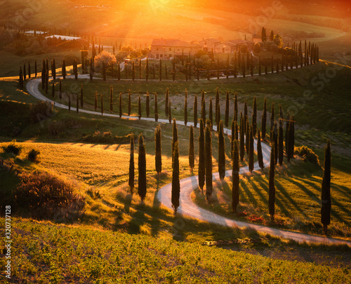 Impressive spring landscape,view with cypresses and vineyards ,Tuscany,Italy © PawelUchorczak