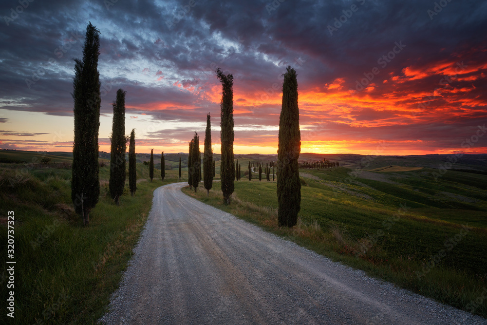Impressive spring landscape,view with cypresses and vineyards ,Tuscany,Italy