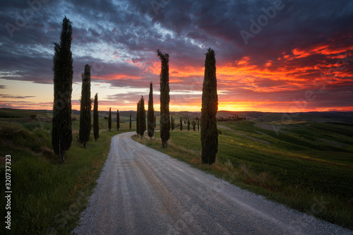 Impressive spring landscape view with cypresses and vineyards  Tuscany Italy