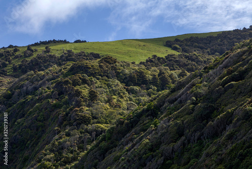 Catlins coast Kaka Point New Zealand. Hills and forest