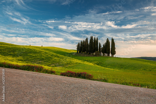 Impressive spring landscape view with cypresses and vineyards  Tuscany Italy