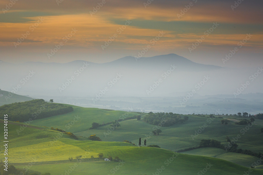 Fototapeta premium Impressive spring landscape,view with cypresses and vineyards ,Tuscany,Italy