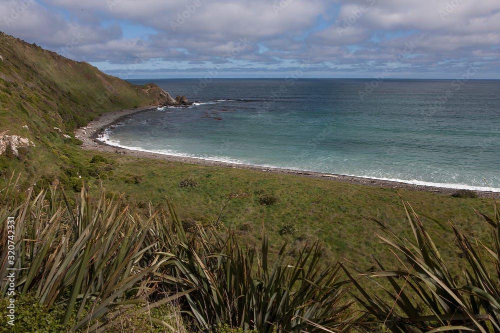 Roaring bay. Catlins coast. South Island New Zealand Roaring bay. Catlins coast. South Island New Zealand