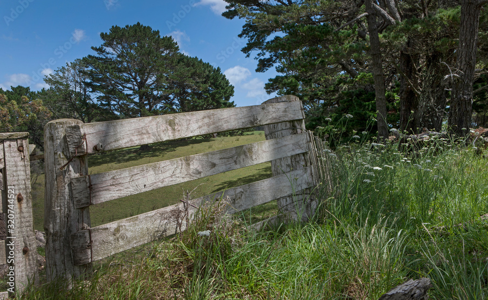 Te Paki. Highway 1. Near Cape Reinga Forest. Northland New Zealand. Gate. Farmland.