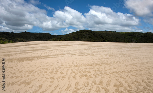 Giant Sand Dunes near Ninety Mile Beach Nortland New Zealand.