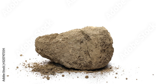 Bilde på lerret Dirt, soil chunk isolated on white background