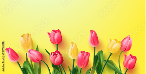 Fototapeta Naklejka Na Ścianę i Meble -  Tulips on a yellow background.Spring background with flowers for a poster, banner or postcard
