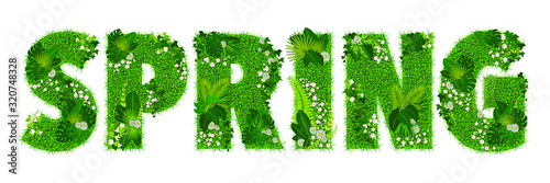 Mot « SPRING » composé de lettres florales - illustration vectorielle d’un gazon fleuri.