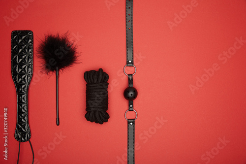 top view of black paddle, gag, rope, feather tickler isolated on red