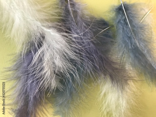 bright ostrich feathers on a yellow background