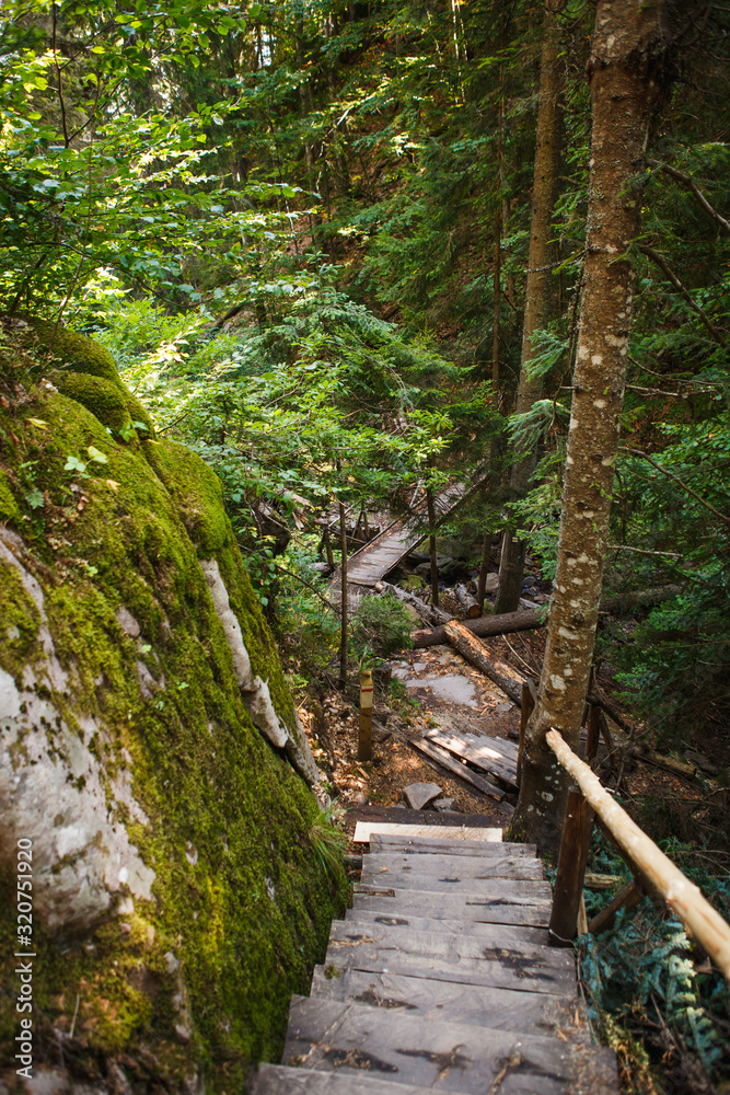 Fototapeta premium Wooden bridge with steps on the eco-trail along the rocks and mountain river in Bulgaria, Smolyan city. Equipped tourist road through the forest for sightseeing tours and walks