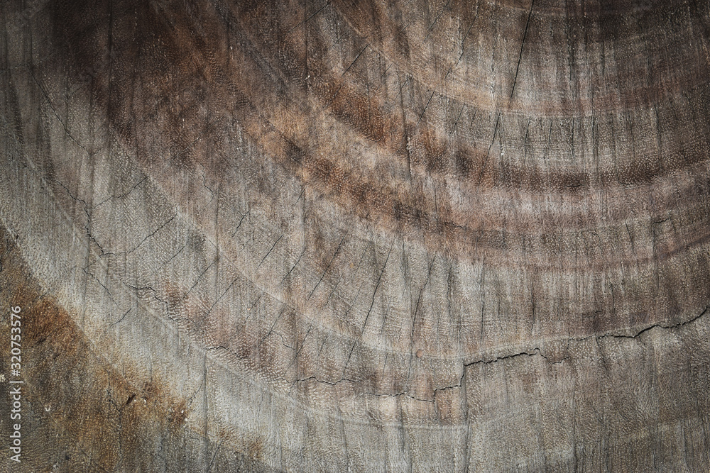 Fototapeta premium brown wood lumber log texture background