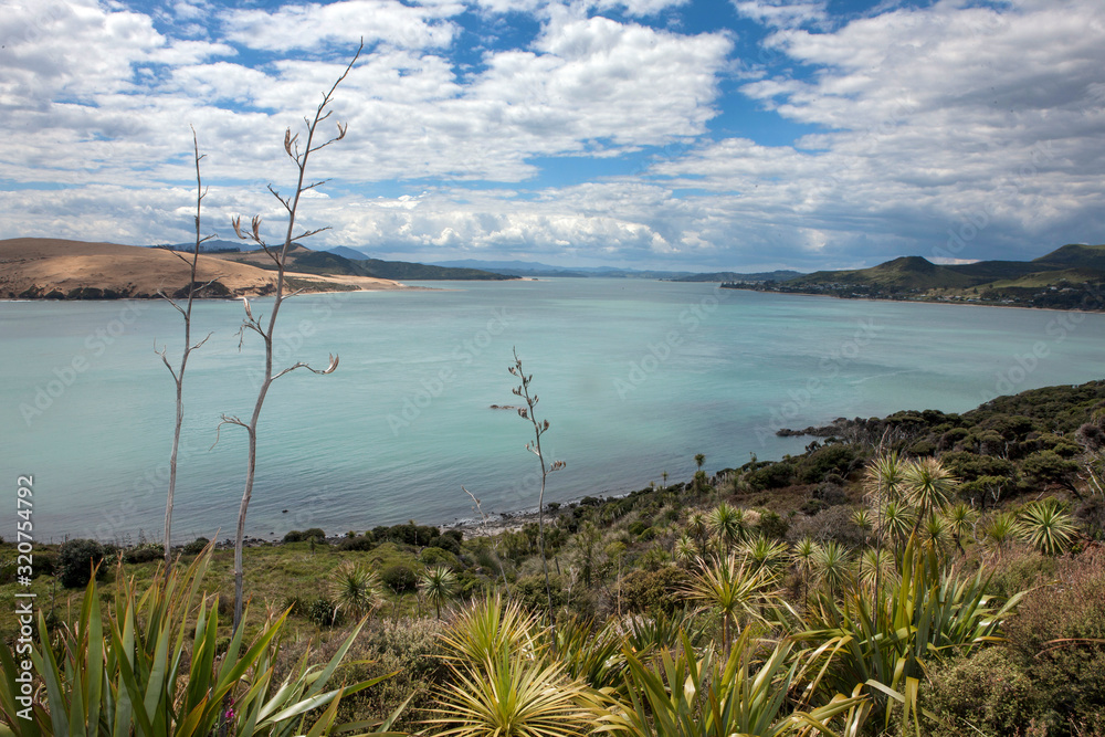 Arai te Uru Hokianga River New Zealand. Martins Bay Arai te Uru Hokianga River New Zealand. Martins Bay