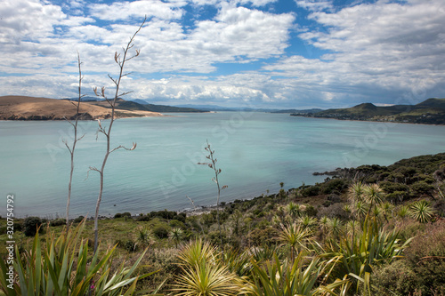 Arai te Uru Hokianga River New Zealand. Martins Bay