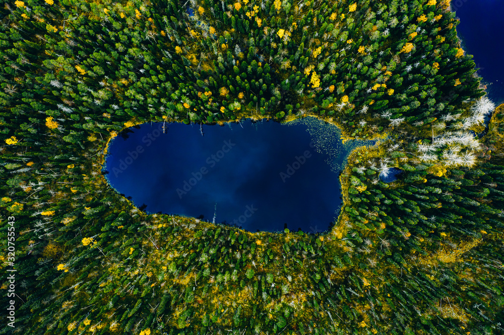 image to crop