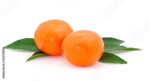 Two tangerines isolated.