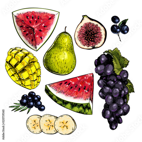 Hand drawn set of tropical fuits. Vector colored isolated objects. Sliced watermelon, mango, banana, fig. Grape branch, pear, blueberry. Restaurant menu, food package. Summer exotic harvest.
