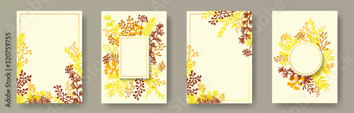 Botanical herb twigs, tree branches, leaves floral invitation cards collection. Plants borders natural cards design with dandelion flowers, fern, mistletoe, olive tree leaves, sage twigs.