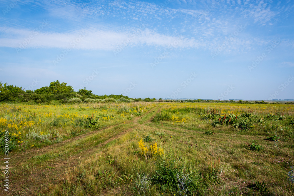 green wide field stretched to the horizon gorgeous summer day green wide field stretched to the horizon gorgeous summer day