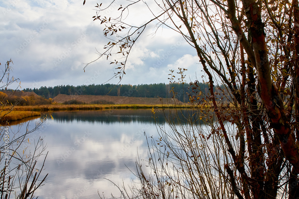 Obraz premium Autumn landscape with water, yellow glass and yellow forest background