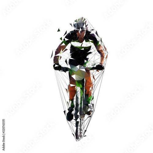Wallpaper Mural Mountain biking, isolated low polygonal vector illustration