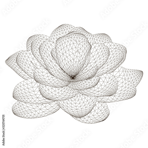 Polygonal flower wireframe Isolated on white background. View isometric. 3D. Vector illustration