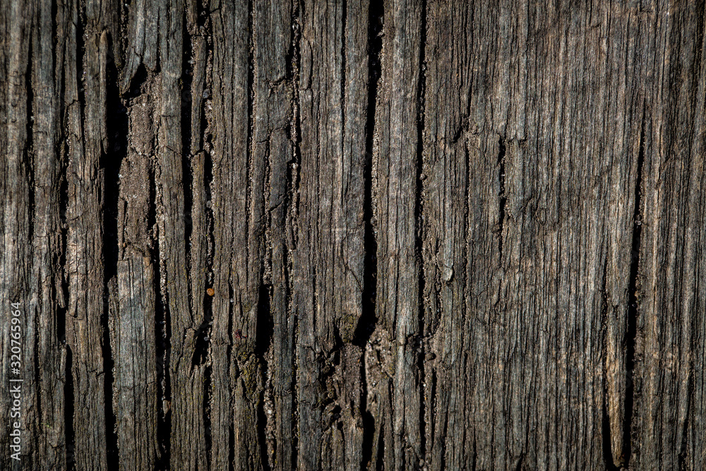 Wooden texture Wooden texture