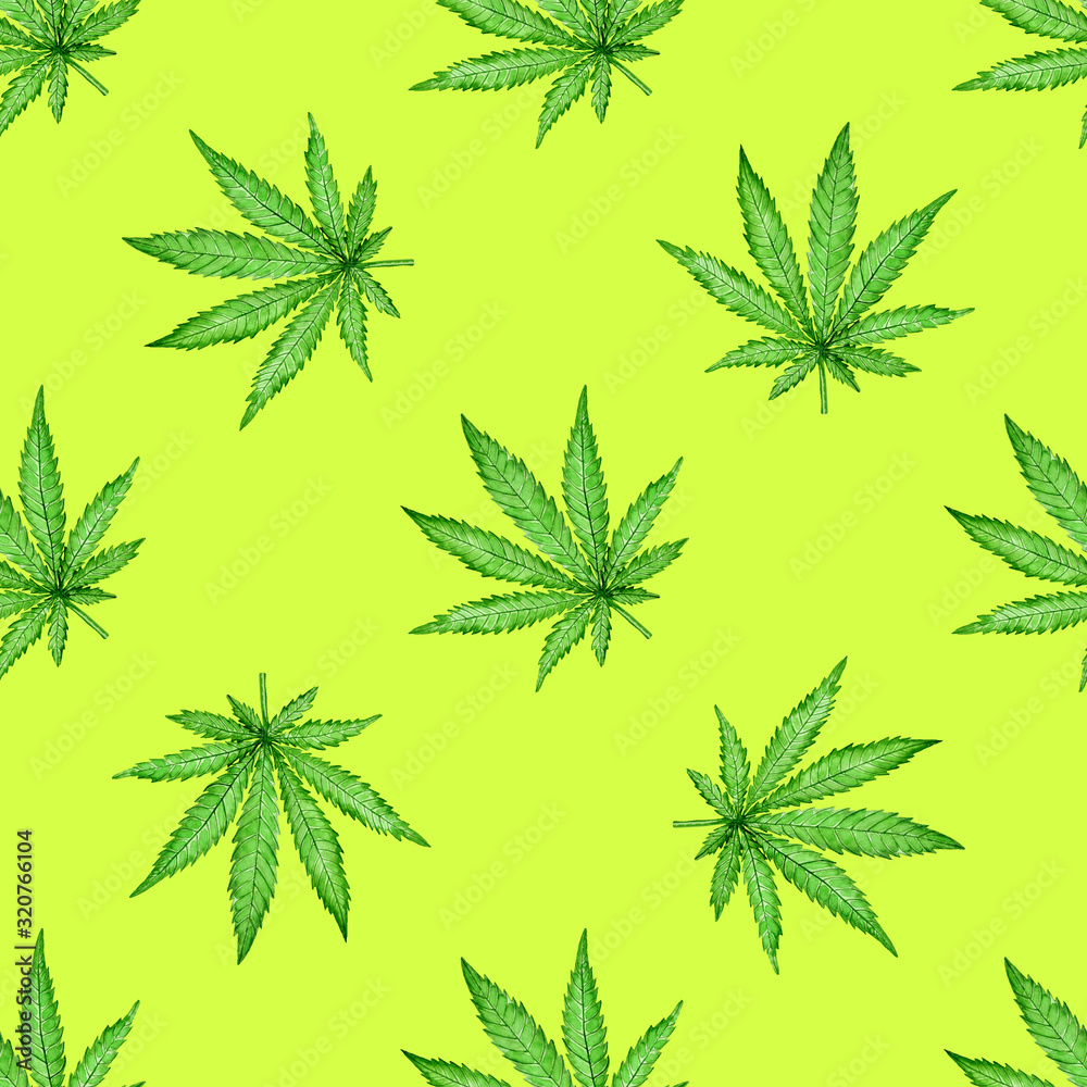 Watercolor seamless pattern with green hemp leaf on light background. Hand painted illustration. Botanical print for fabric and wrapping paper. Watercolor seamless pattern with green hemp leaf on light background. Hand painted illustration. Botanical print for fabric and wrapping paper.