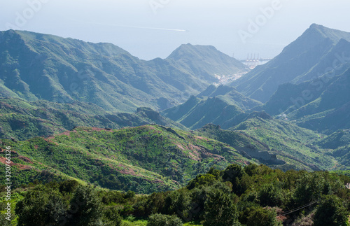 Valley Cercado Anaga mountains